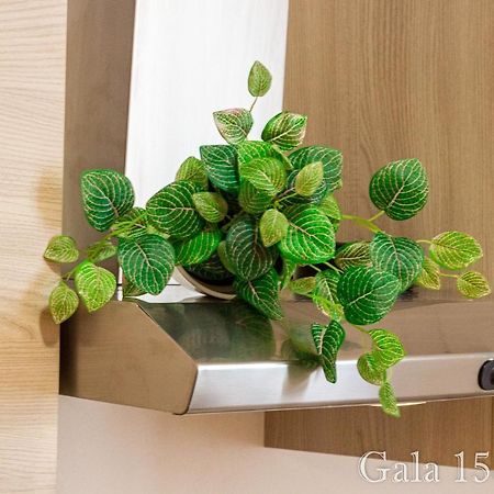 Gala158Due Apartment Болоня Екстериор снимка